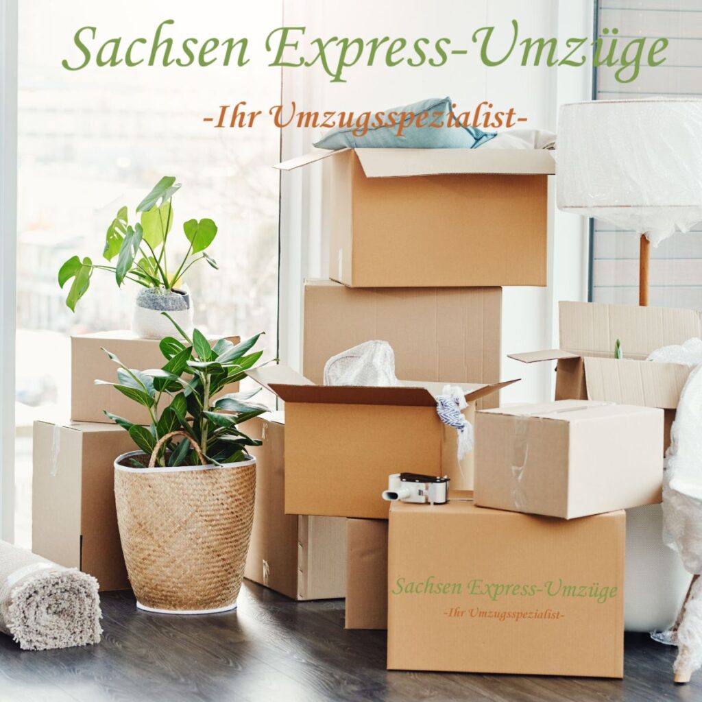 sachsen-express-umzuege-startseite